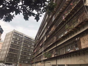 云南地質(zhì)工程勘察設(shè)計研究院宿舍工程勘察實(shí)踐與探索