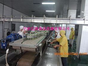 億鴻食品機械 以卓越品質與智能技術，引領魚罐頭瀝水機新標準
